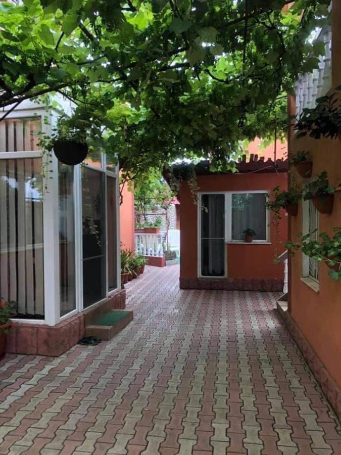 Vila Dana Otel Agigea Dış mekan fotoğraf